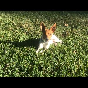 Meet your Posher, J d